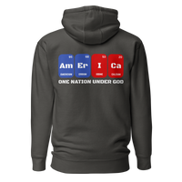 Element Hoodie